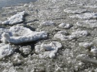 Hamburg Hafen mit Eisgang 2