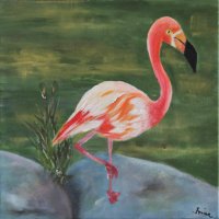 Flamingo