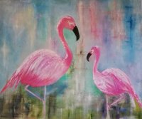 Flamingos